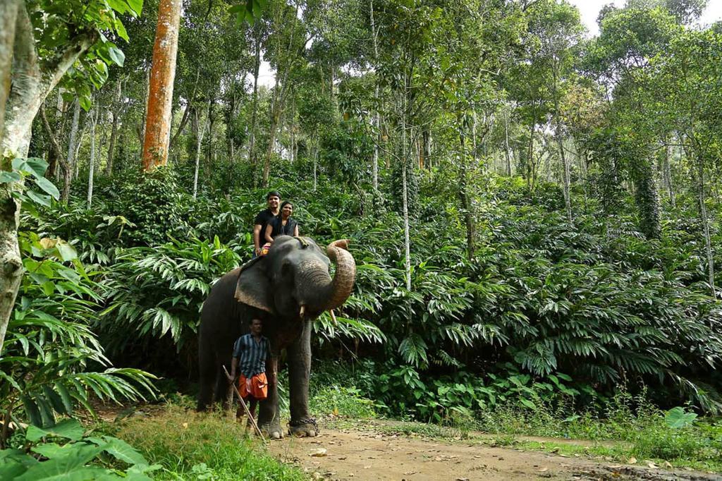 Peppervine Hotel Thekkady Esterno foto