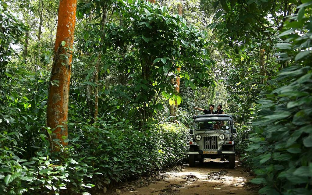 Peppervine Hotel Thekkady Esterno foto